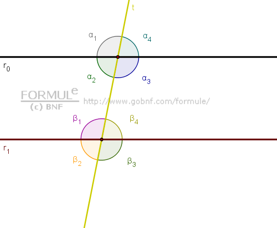 Immagine, eometria del piano, rette parallele, angoli formati da rette parallele tagliate da una trasversale