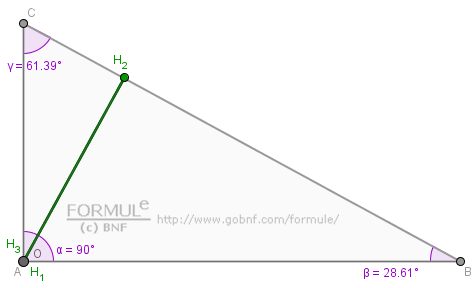 Geometria del piano, triangolo ortico, triangolo rettangolo