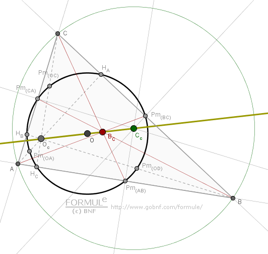 Geometria piana, cerchio dei nove punti, cerchio di Feuerbach, centro del cerchio di Feuerbach, ortocentro, circocentro, baricentro, retta di Eulero