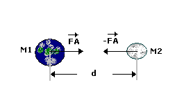 Fisica, Le forze, Attrazione gravitazionale