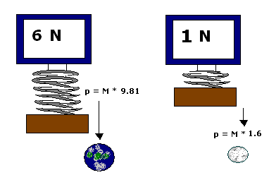 Fisica, Le forze, Misurazione del peso