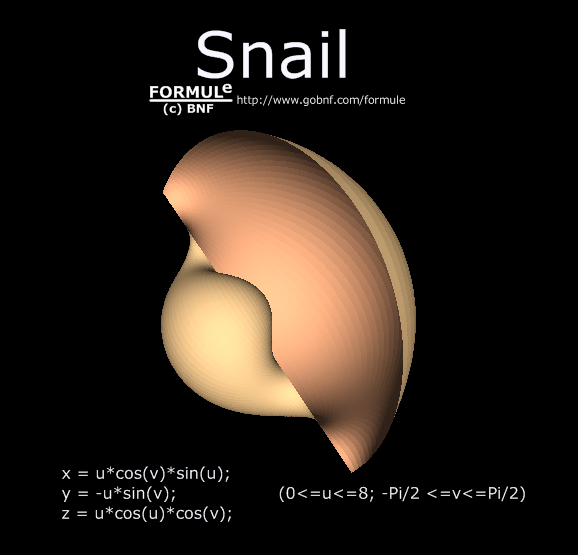 Curve e superfici-Varie, galleria, immagine conchiglia, equazione cartesiana parametrica lumaca, Curves & surfaces-Miscellaneous, gallery, image of snail, parametric equation of snail